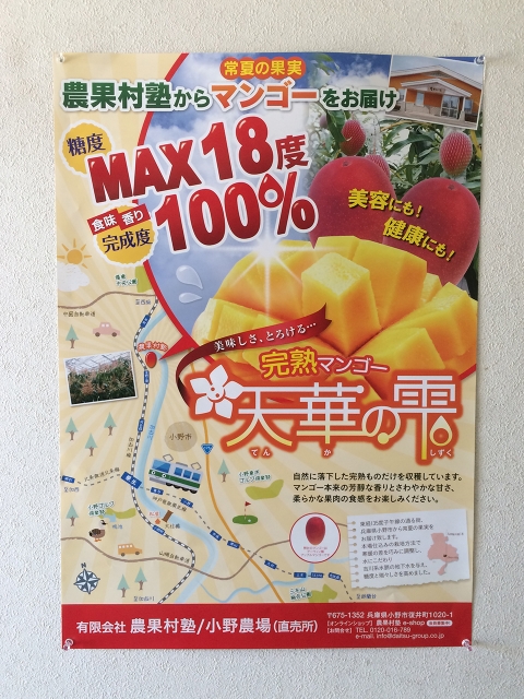 マンゴー販売施設！4